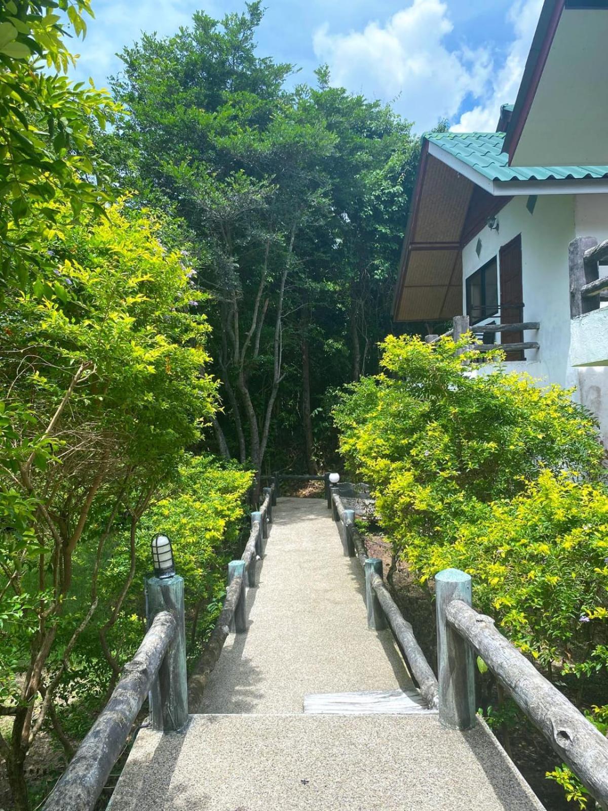 מאה האד Phangan Utopia Resort מראה חיצוני תמונה